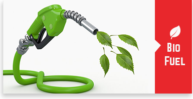 Bio Fuel
